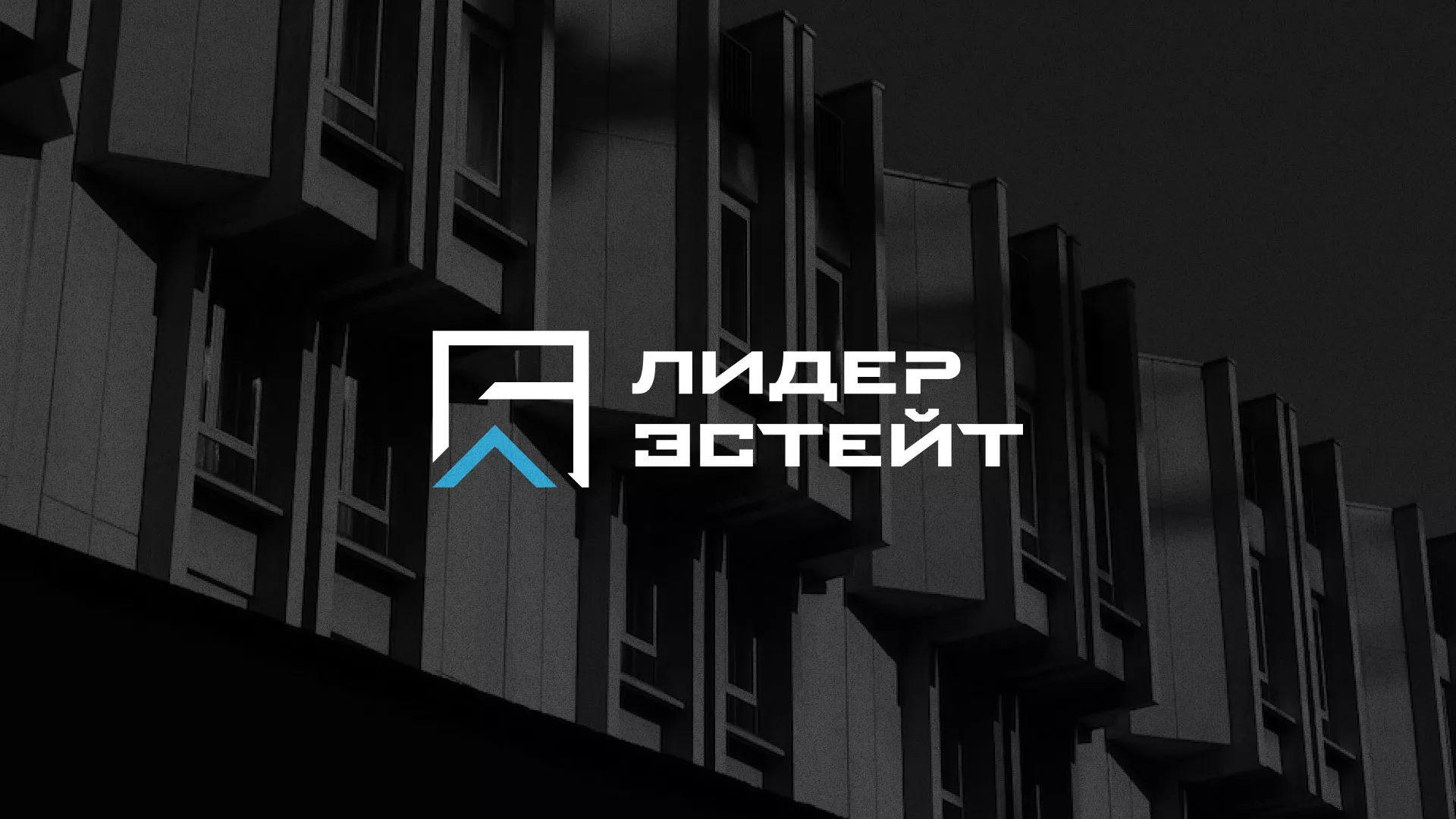 Разработка логотипа агентства недвижимости «Лидер Эстейт» в Нязепетровске